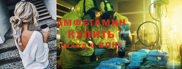 ГАЛЛЮЦИНОГЕННЫЕ ГРИБЫ Алзамай