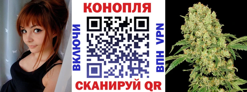 блэк спрут зеркало сколько стоит Качканар Марихуана план